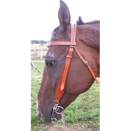 Frontlet bridle 01