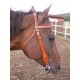 Frontlet bridle 01